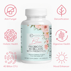 Bloom Probiotic 40 Billion with Prebiotics